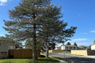 6497 W 3860 S, West Valley, UT 84128 - Photo 3