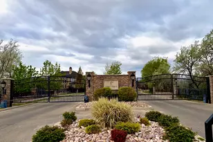 1229 W Peacock Midge Dr S, Bluffdale, UT 84065 - Photo 53