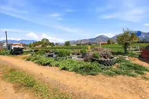 793 W Salem Canal Rd Rd S, Salem, UT 84653 - Photo 19