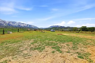 793 W Salem Canal Rd Rd S, Salem, UT 84653 - Photo 9