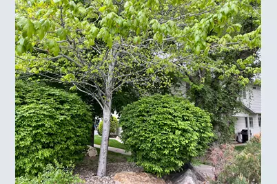 1672 S Canyonwoods Dr E, Ogden, UT 84404 - Photo 43