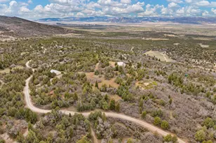 116 N Oak Crest Dr E, Mount Pleasant, UT 84647 - Photo 47