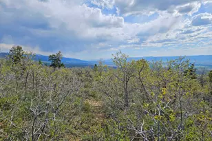 1246 E North Fork Rd S, Fairview, UT 84629 - Photo 1
