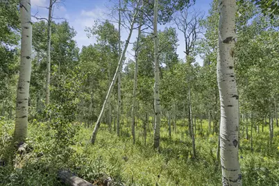 3526 S Blue Spruce Dr #1700, Heber City, UT 84032 - Photo 33