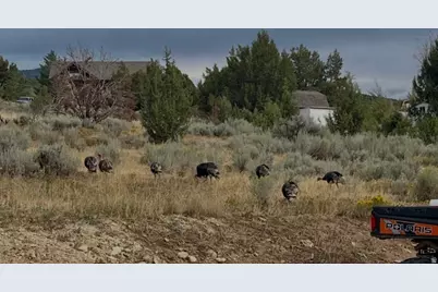22498 N 12320 E #B58, Fairview, UT 84629 - Photo 23