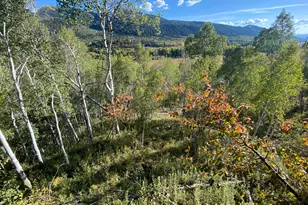 5490 E Fremont Trail, Oakley, UT 84055 - Photo 45
