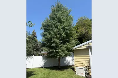 150 W 200 St N, Duchesne, UT 84021 - Photo 29