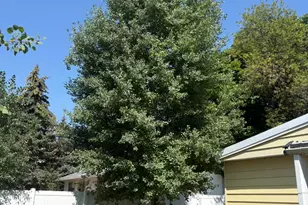 150 W 200 St N, Duchesne, UT 84021 - Photo 29