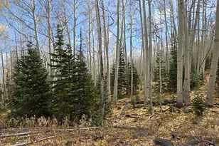 [Address not provided], Annabella, UT 84711 - Photo 1