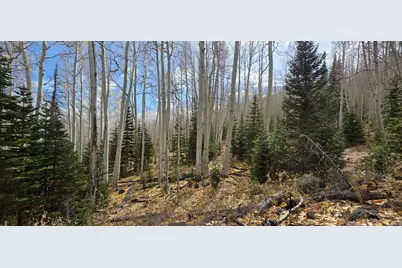 [Address not provided], Annabella, UT 84711 - Photo 3