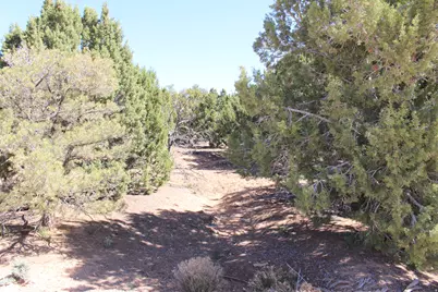 17768 Harmony Ln, Cedar City, UT 84721 - Photo 3