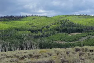 [Address not provided], Annabella, UT 84711 - Photo 1
