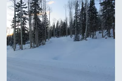 6 Tushar Mountain Ests #6, Beaver, UT 84713 - Photo 13