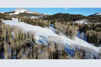 9 Tushar Mountain Ests #9, Beaver, UT 84713 - Photo 5