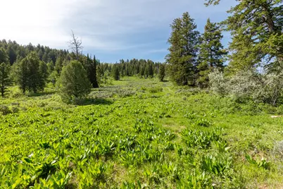 [Address not provided], Huntsville, UT 84317 - Photo 19