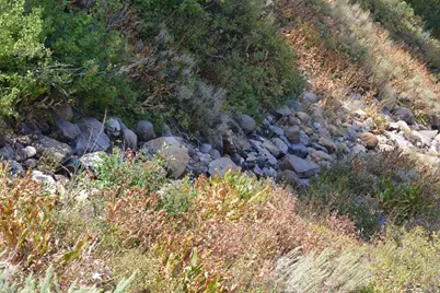 266 Sunridge - Tax Id  230130266, Huntsville, UT 84317 - Photo 25