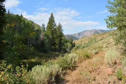 266 Sunridge - Tax Id  230130266, Huntsville, UT 84317 - Photo 17