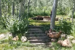 7565 N Jim Bridger Dr, Huntsville, UT 84317 - Photo 1