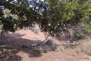 46066 W 8000 S, Fruitland, UT 84027 - Photo 23