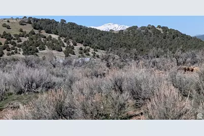 11799 Cove Creek Rd N, Mount Pleasant, UT 84647 - Photo 5