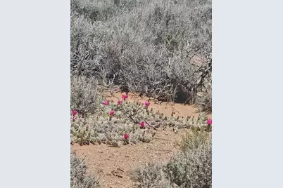 [Address not provided], Duchesne, UT 84021 - Photo 7