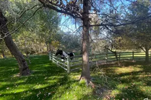 187 N Waterhole Way E, Grantsville, UT 84029 - Photo 69