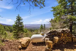 23 Spring City Rancheros Lot 23A, Mount Pleasant, UT 84647 - Photo 19
