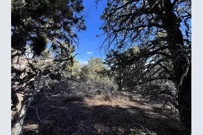 38 Broken Branch Rd #38, Kanab, UT 84741 - Photo 45