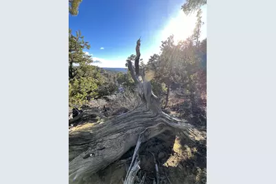 38 Broken Branch Rd #38, Kanab, UT 84741 - Photo 41