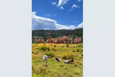 39 Upper Lick Rd #39, Kanab, UT 84741 - Photo 41