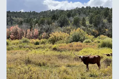 39 Upper Lick Rd #39, Kanab, UT 84741 - Photo 25