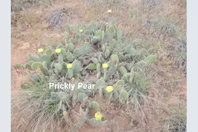 458 W Singing Desert Rd, Thompson, UT 84540 - Photo 25
