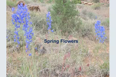 458 W Singing Desert Rd, Thompson, UT 84540 - Photo 21
