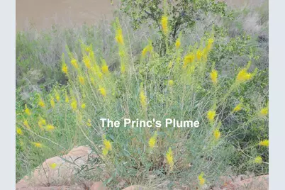 458 W Singing Desert Rd, Thompson, UT 84540 - Photo 23