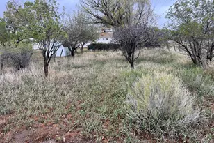 692 S 300 W, Mount Pleasant, UT 84647 - Photo 9