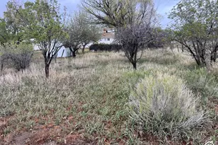 692 S 300 W, Mount Pleasant, UT 84647 - Photo 9