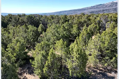 [Address not provided], Hanna, UT 84031 - Photo 7