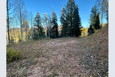 660 W Ski View Dr, Brian Head, UT 84719 - Photo 7