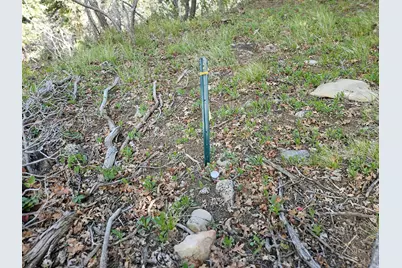 50 E Thads Peak Dr S #J50, Fairview, UT 84629 - Photo 7