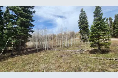 79 E Thads Peak Dr S #J50, Fairview, UT 84629 - Photo 9