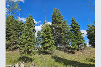 50 E Thads Peak Dr S #J50, Fairview, UT 84629 - Photo 5