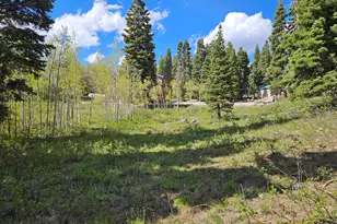 50 E Thads Peak Dr S, Fairview, UT 84629 - Photo 1