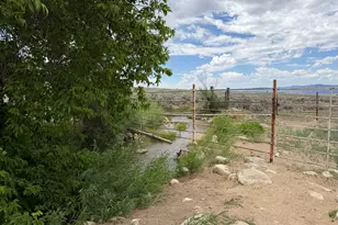 1495 S Hwy 117, Mount Pleasant, UT 84647 - Photo 7