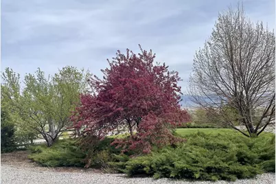 7030 W 2100 N, Petersboro, UT 84325 - Photo 11