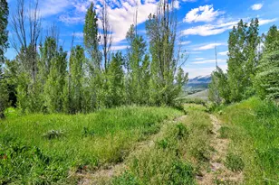 8975 E Pineview Dr, Huntsville, UT 84317 - Photo 39
