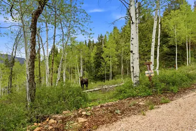 54 E Targhee Dr, Oakley, UT 84055 - Photo 41