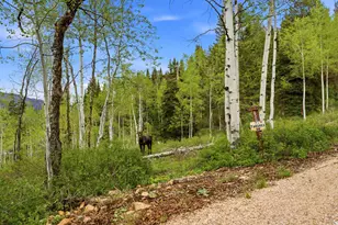 54 E Targhee Dr, Oakley, UT 84055 - Photo 41