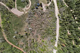 13910 Juniper Dr, Fairview, UT 84629 - Photo 13