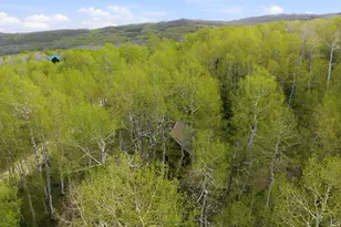 11356 E Columbine Ln, Heber City, UT 84032 - Photo 47