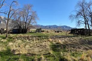 1766 Pine Rd, Pine Canyon, UT 84074 - Photo 15